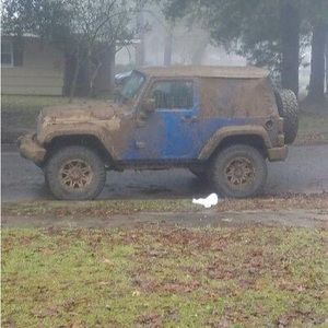 Meet your Posher Riley Ann